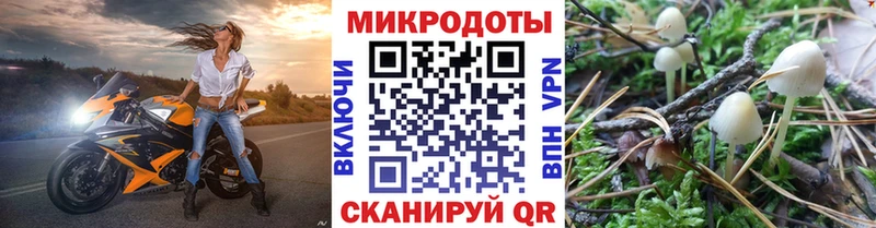 Галлюциногенные грибы прущие грибы  blacksprut зеркало  Корсаков 